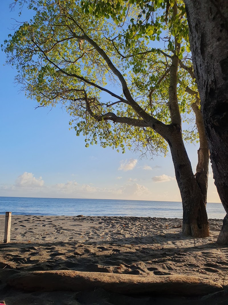 Photo 1 at Sabwisha Beach in La Riche