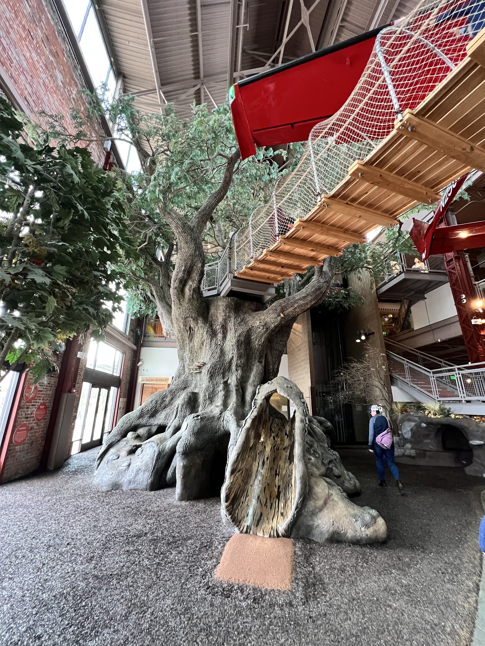 Outdoor Adventure Center in Detroit