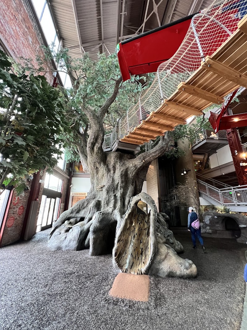 Outdoor Adventure Center in Detroit