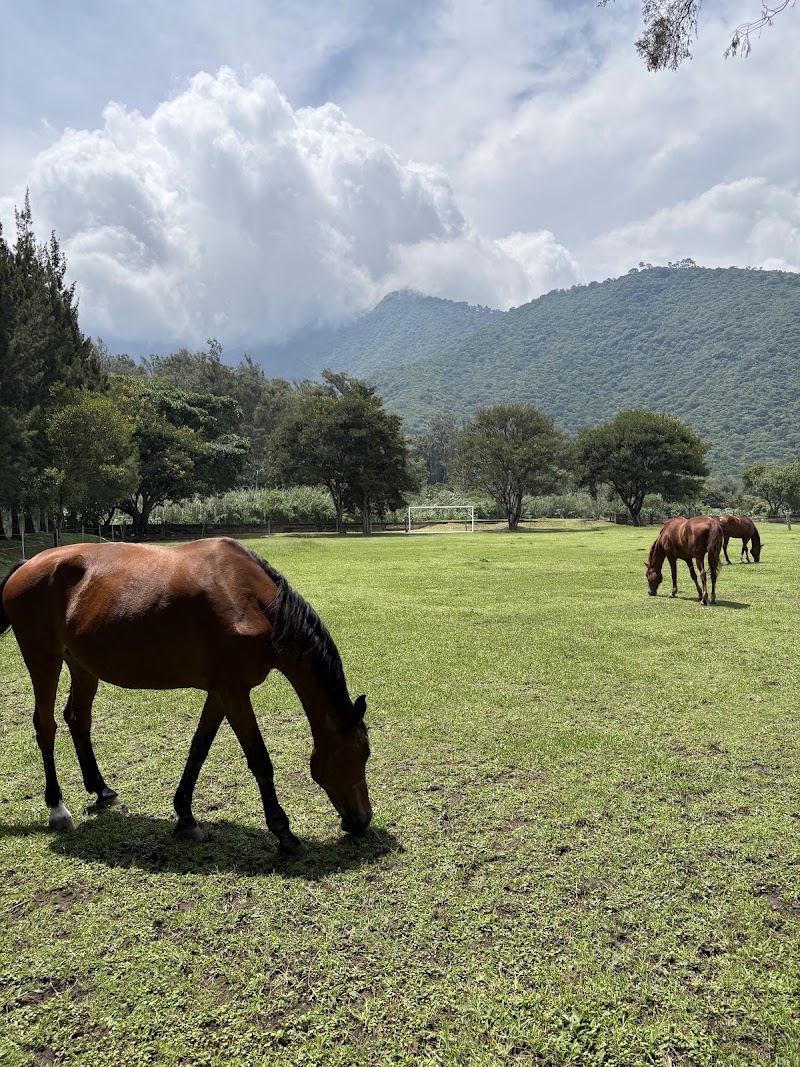 Photo 6 at Finca La Azotea in Guatemala