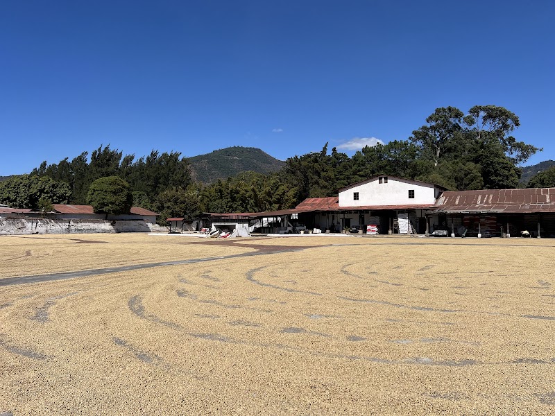 Photo 2 at Finca La Azotea in Guatemala