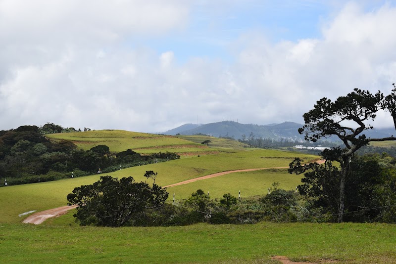 Photo 5 at Moon Plains in Nuwara Eliya