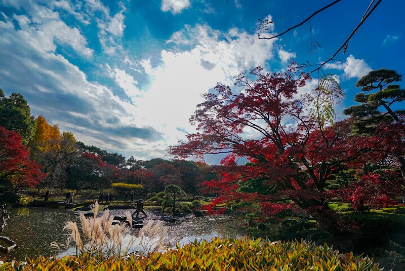 Photo 1 at Imperial Palace East National Gardens in Chiyoda City