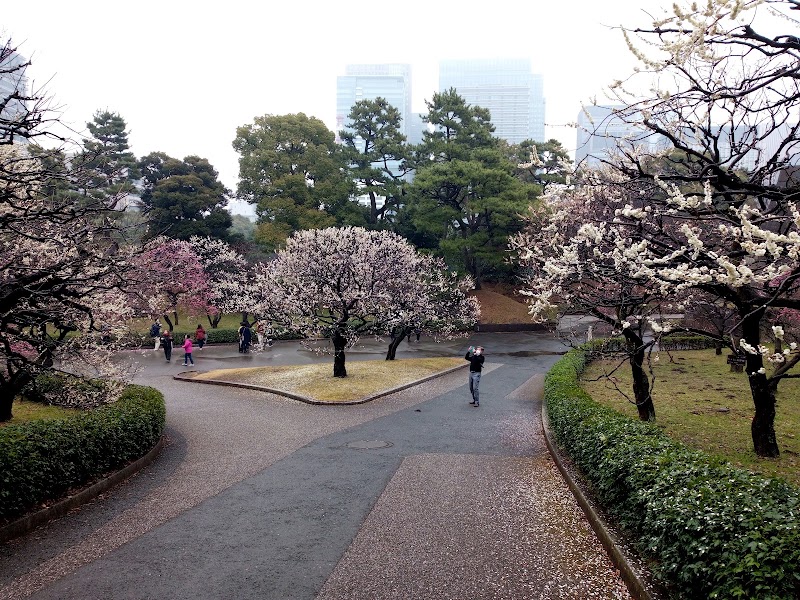 Photo 2 at Imperial Palace East National Gardens in Chiyoda City