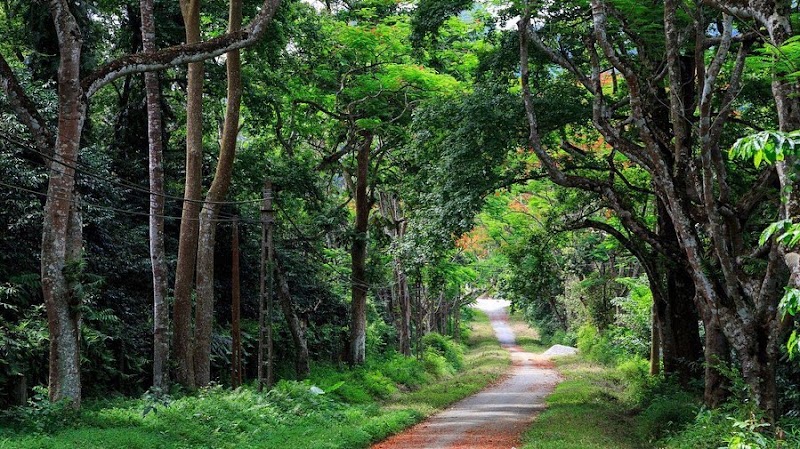 Cuc Phuong National Park in 