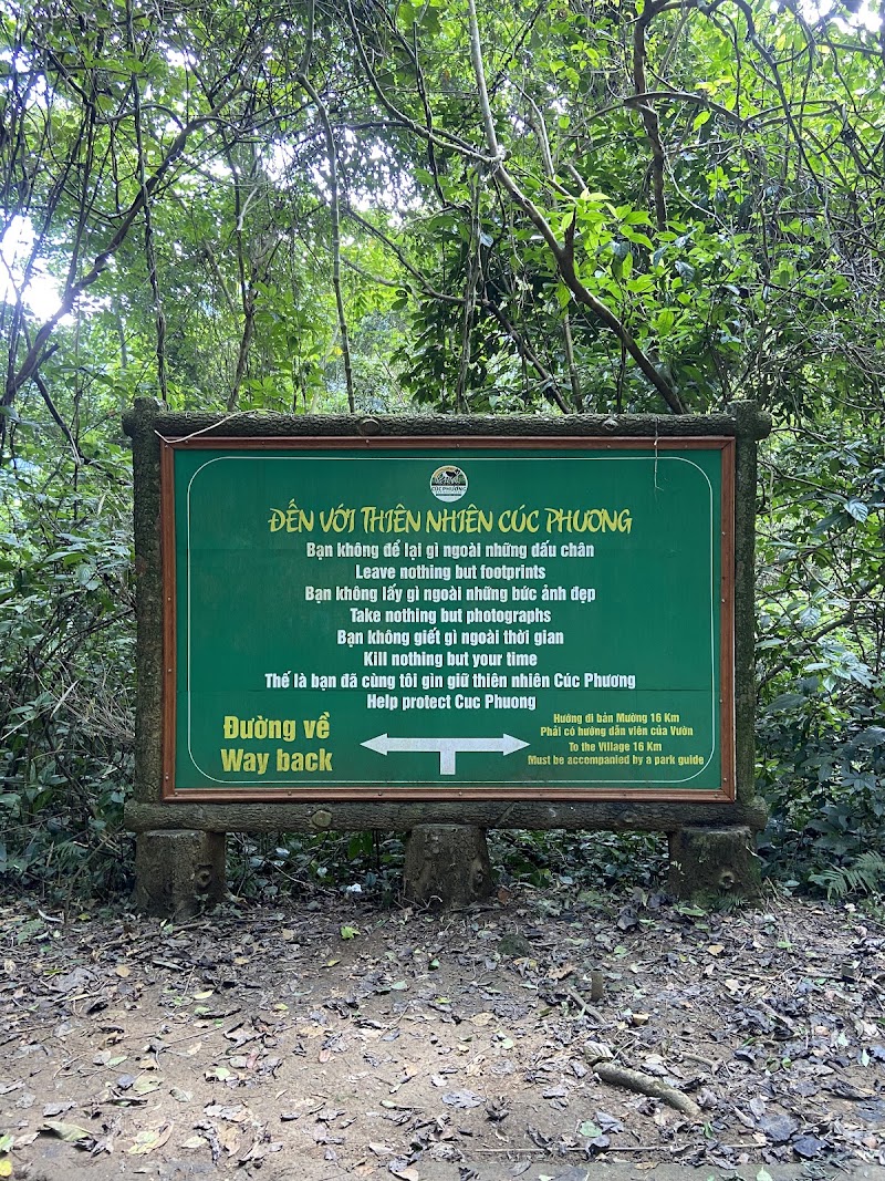 Photo 6 at Cuc Phuong National Park in 