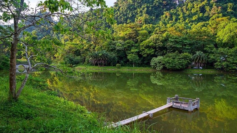 Photo 1 at Cuc Phuong National Park in 