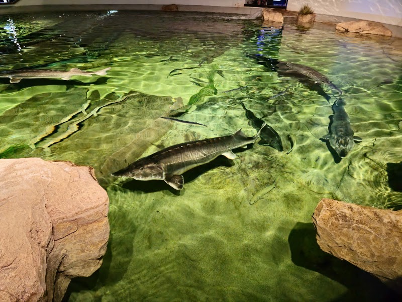 Photo 4 at Lithuanian Sea Museum in Klaipėda