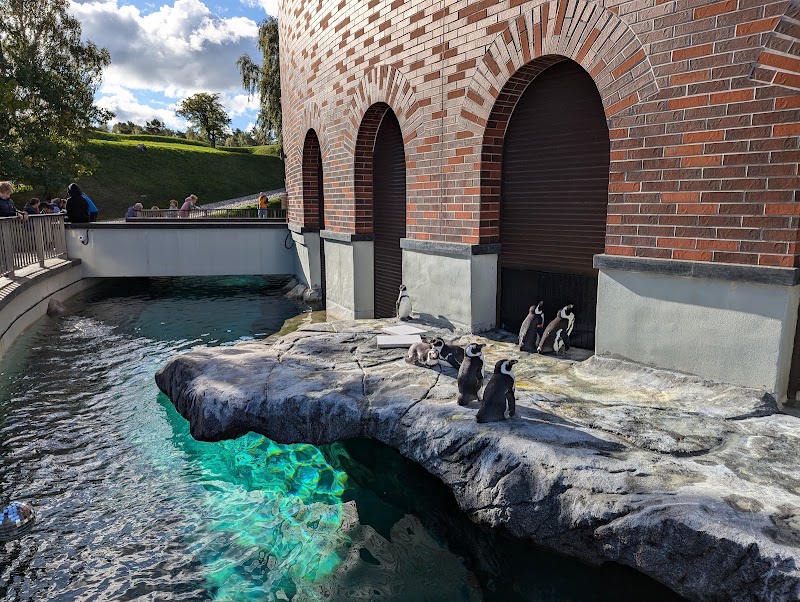 Photo 6 at Lithuanian Sea Museum in Klaipėda