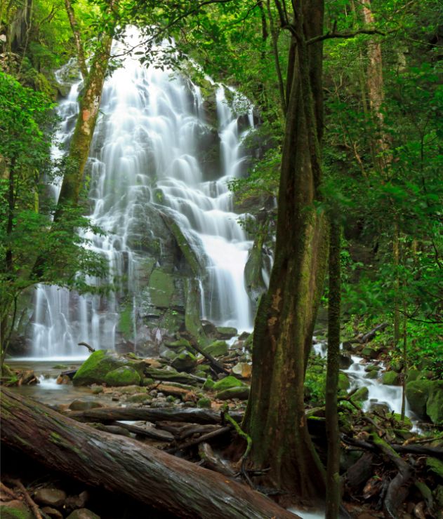 Parque Nacional Rincón de la Vieja in Liberia