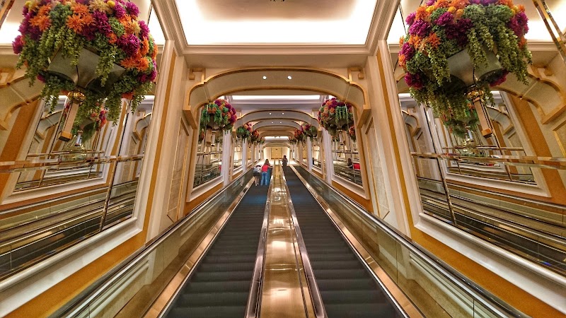 Photo 6 at Wynn Palace in 
