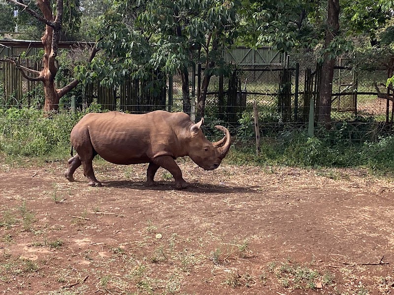 Photo 5 at Nairobi Animal Orphanage in Nairobi