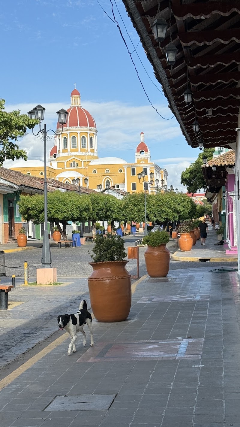 Photo 4 at Ecoterra Expeditions Nicaragua - Tours & Travel in Granada