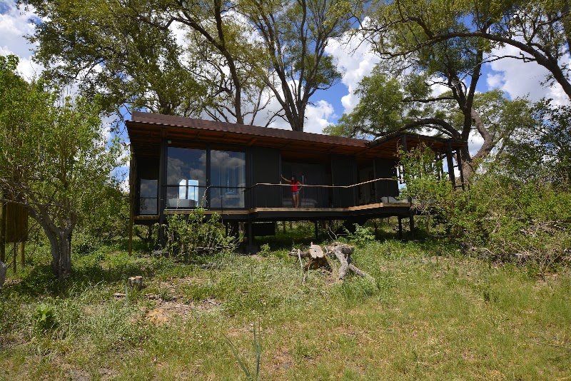 Photo 1 at Okavango Wilderness Safaris in Maun