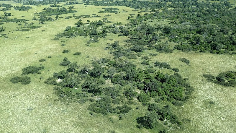 Photo 3 at Okavango Wilderness Safaris in Maun