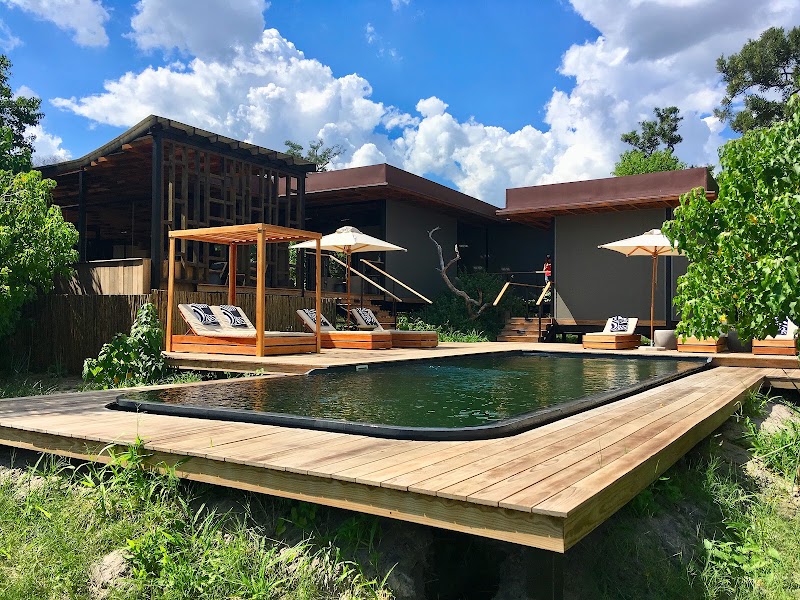 Photo 6 at Okavango Wilderness Safaris in Maun
