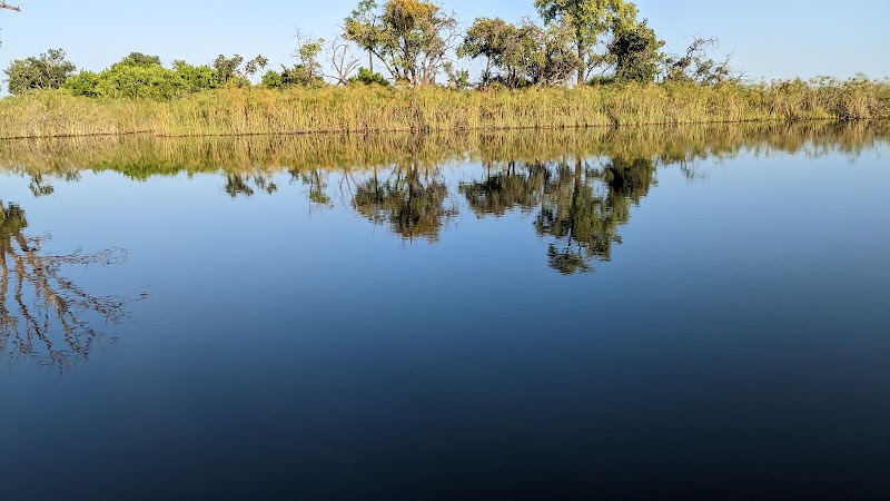Okavango Wilderness Safaris in Maun