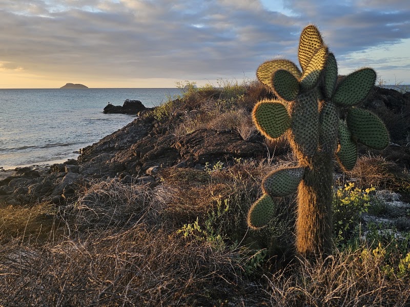Photo 4 at Parque Nacional Galápagos in El cascajo