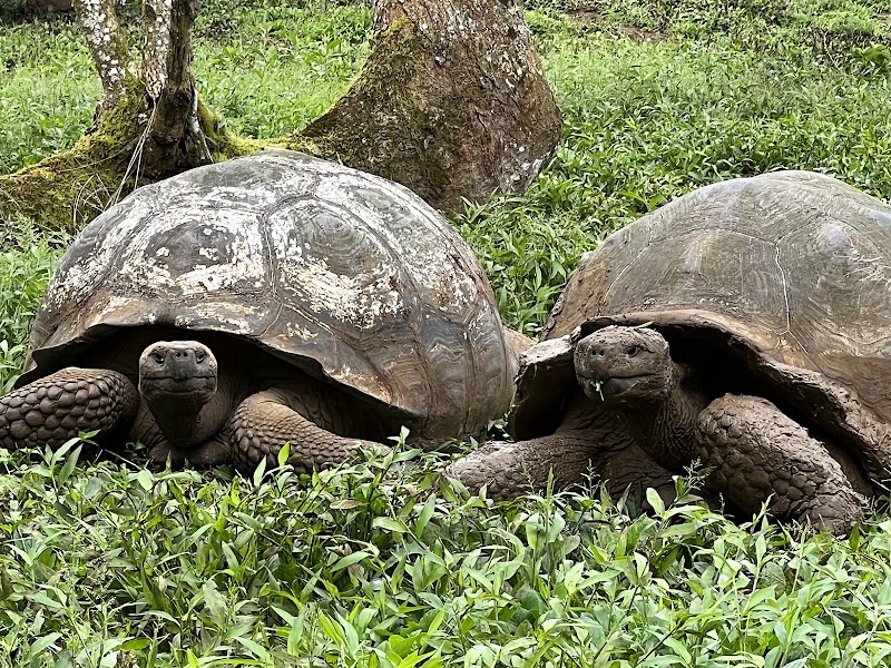 Parque Nacional Galápagos in El cascajo