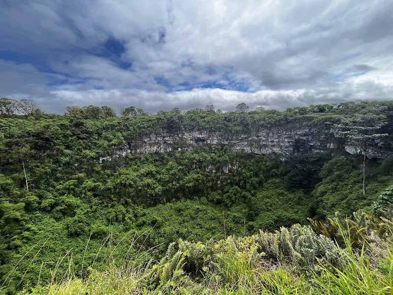 Photo 2 at Parque Nacional Galápagos in El cascajo