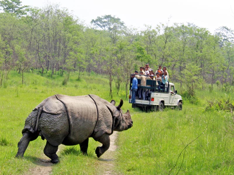 Chitwan National Park in 