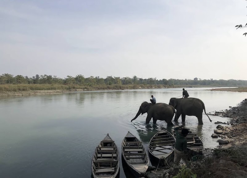 Photo 2 at Chitwan National Park in 