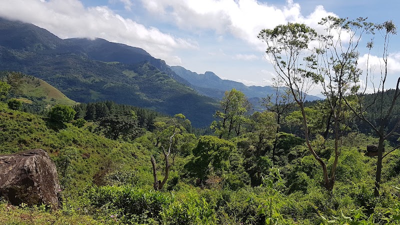 Photo 1 at Knuckles Forest Reserve in Gomara