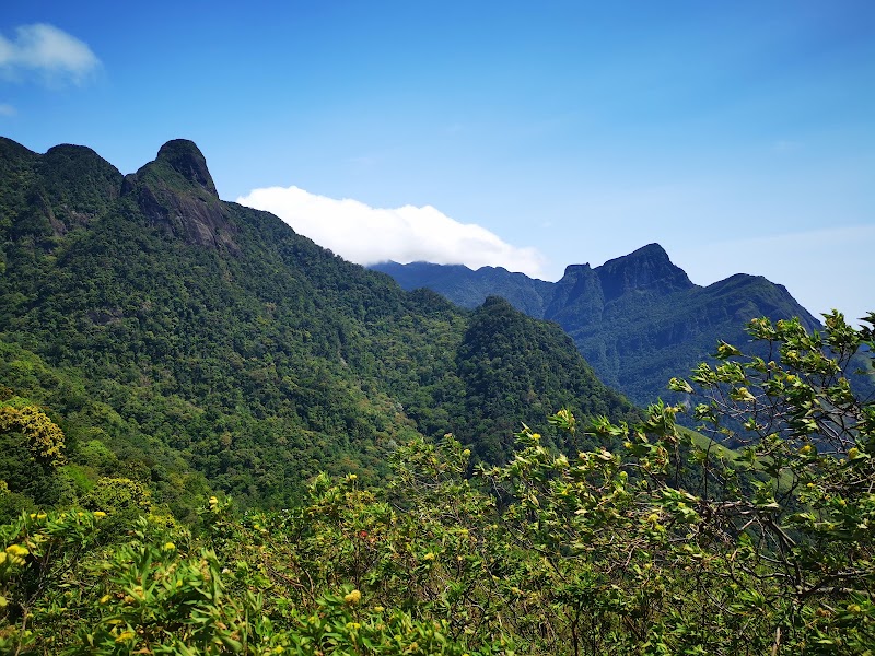Knuckles Forest Reserve in Gomara