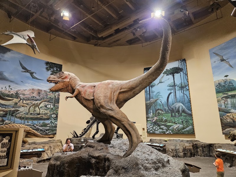 Photo 4 at Fernbank Museum | 3D Theater | Forest in Atlanta