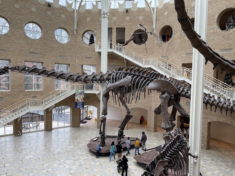 Photo 3 at Fernbank Museum | 3D Theater | Forest in Atlanta