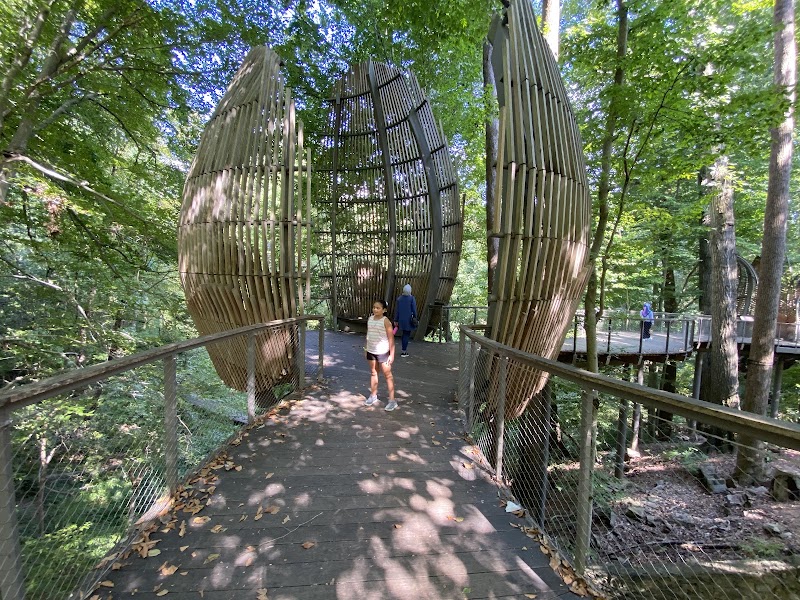 Photo 1 at Fernbank Museum | 3D Theater | Forest in Atlanta