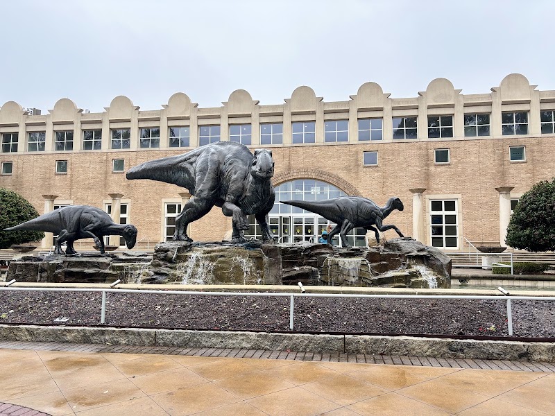 Photo 2 at Fernbank Museum | 3D Theater | Forest in Atlanta