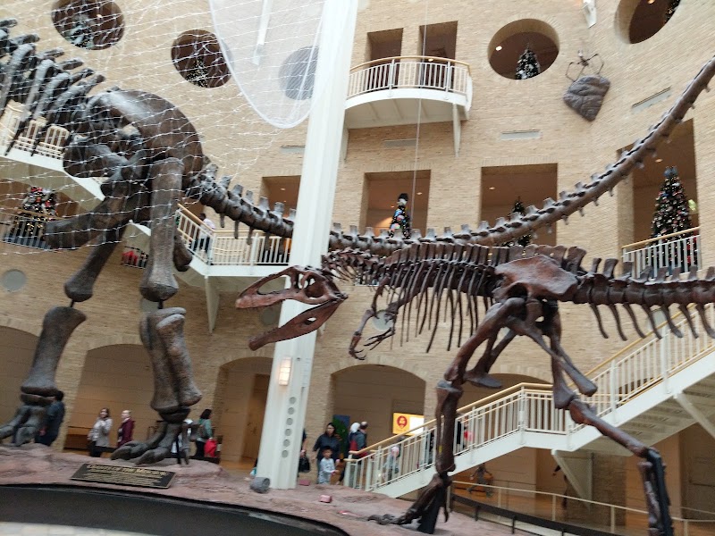 Photo 6 at Fernbank Museum | 3D Theater | Forest in Atlanta