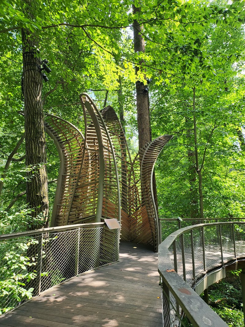 Fernbank Museum | 3D Theater | Forest in Atlanta