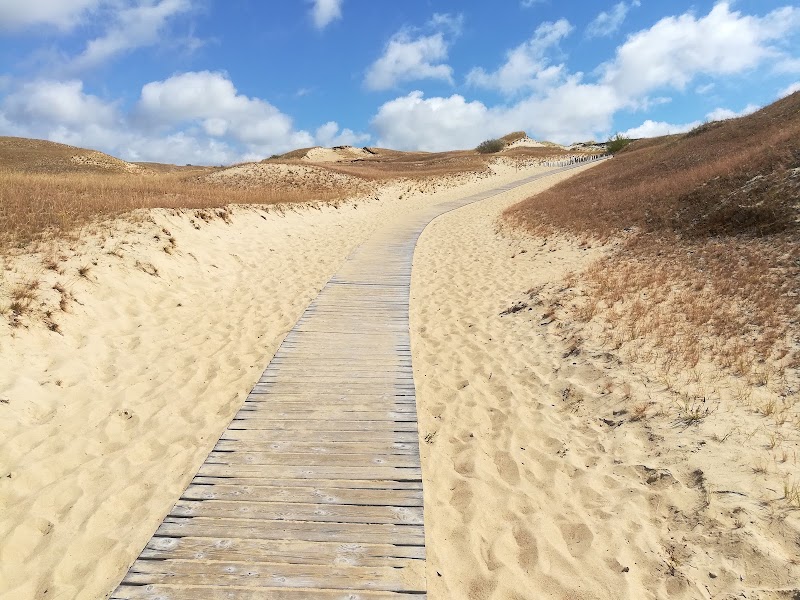 Photo 6 at Curonian Spit National Park in 