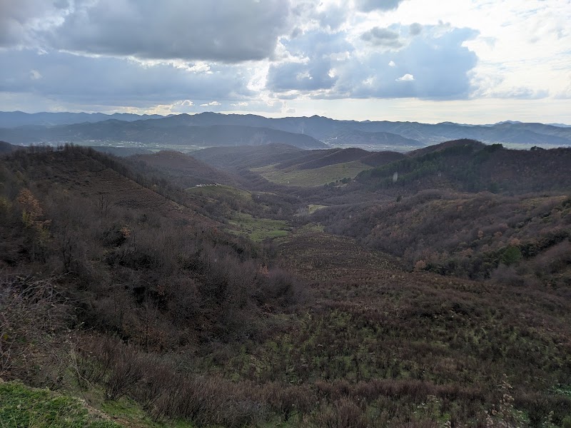 Photo 2 at Lapidari in Sauk