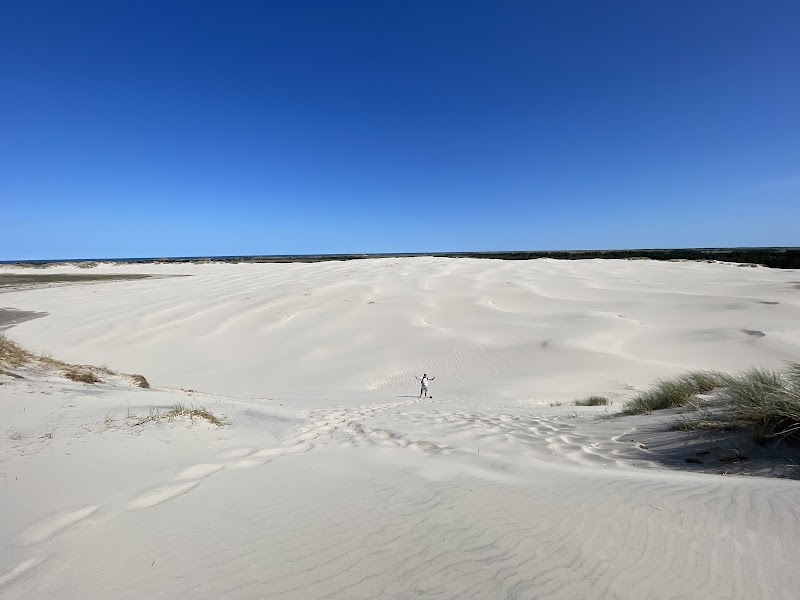 Råbjerg Mile in Skagen