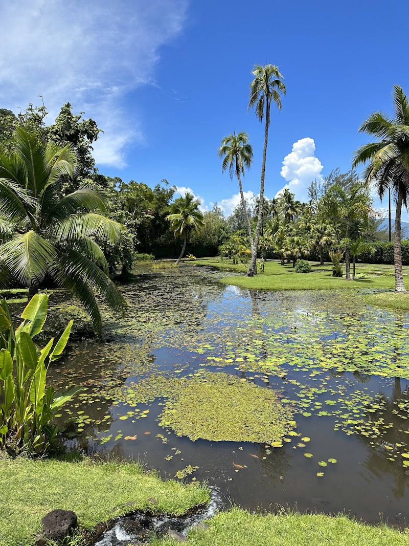 Photo 1 at Water Gardens Vaipahi in Teva I Uta
