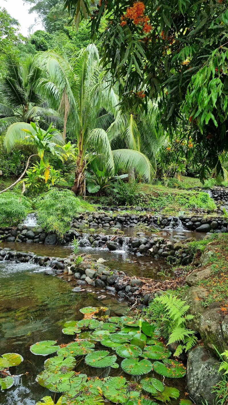 Photo 2 at Water Gardens Vaipahi in Teva I Uta