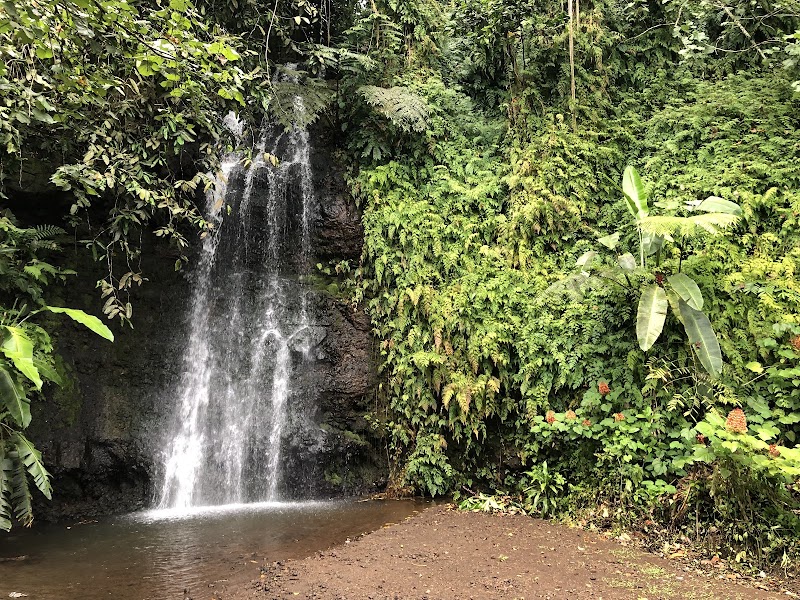 Water Gardens Vaipahi in Teva I Uta