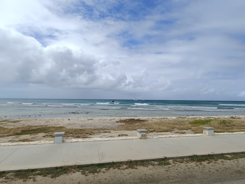 Photo 6 at Arashi Beach in Noord
