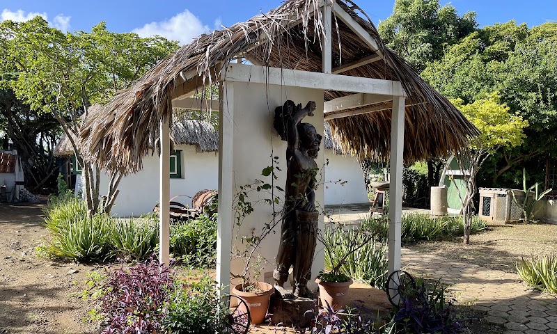 Photo 5 at Kas di pal'i maishi - Kunuku House in Dokterstuin