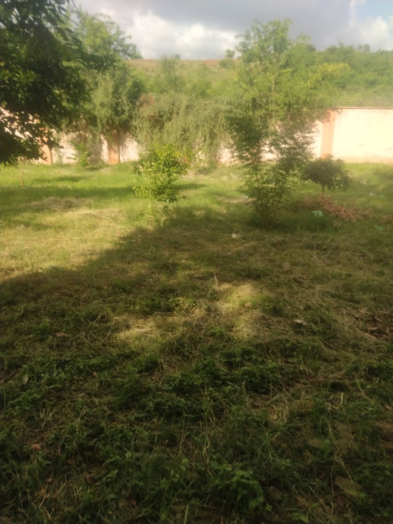 Goron Dutse Hill in Kano