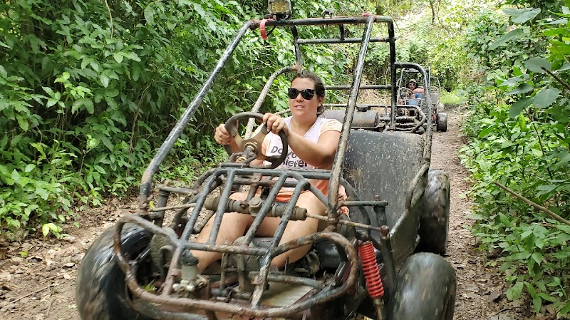 268 Buggies in Jennings