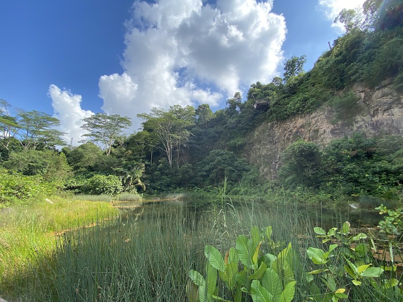 Photo 3 at Rifle Range Nature Park in Singapore