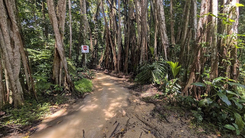 Rifle Range Nature Park in Singapore