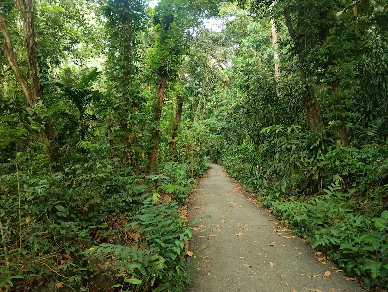 Photo 1 at Rifle Range Nature Park in Singapore