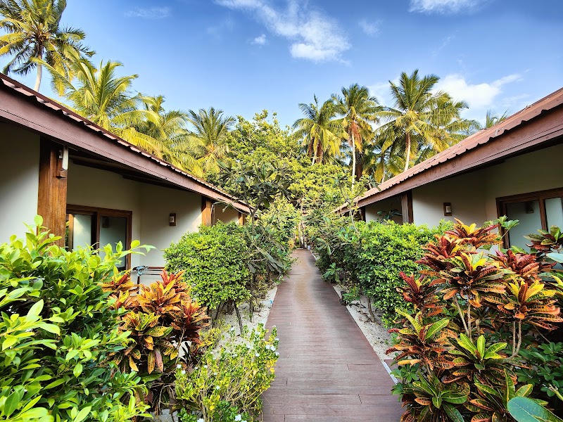 Plumeria Maldives in Thinadhoo