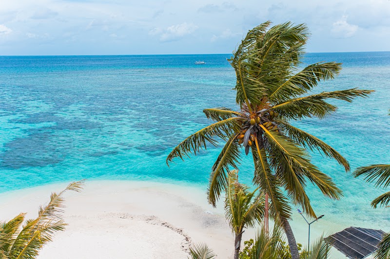 Photo 4 at Plumeria Maldives in Thinadhoo