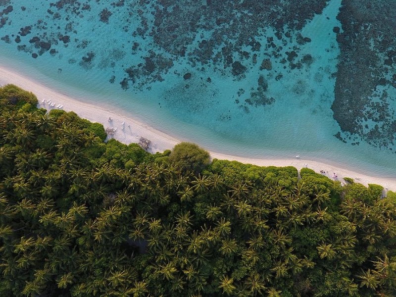 Photo 6 at Plumeria Maldives in Thinadhoo